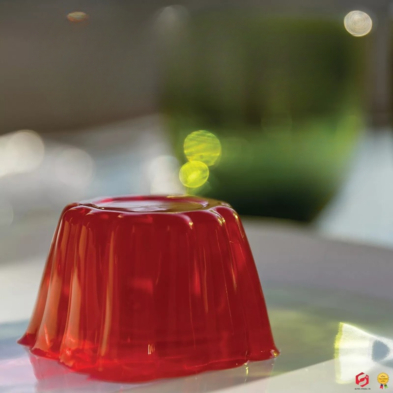 蓋付きプリンケーキ型 DIY 離乳食ゼリーとプリン耐熱皿 ホ - Baby Food Jelly のレビューと価格